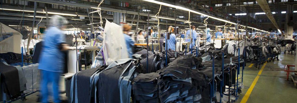 Factory Status & Assessment Reports